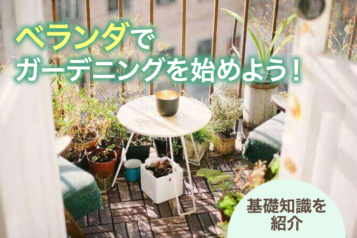 ベランダでガーデニングを始めよう!基礎知識を紹介