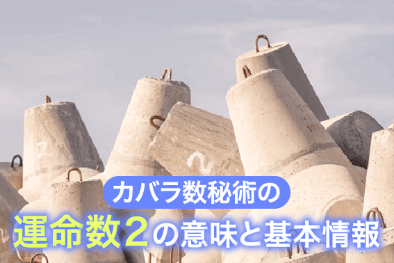 カバラ数秘術の運命数2の意味と基本情報