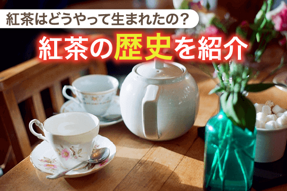 紅茶はどうやって生まれたの?紅茶の歴史を紹介