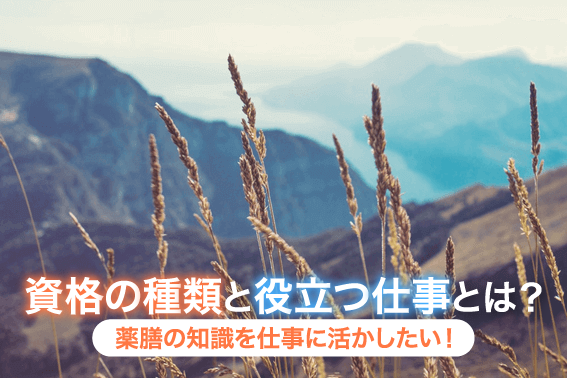 薬膳の知識を仕事に活かしたい!資格の種類と役立つ仕事とは?