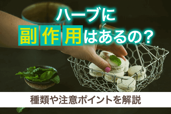 ハーブに副作用はあるの?種類や注意ポイントを解説