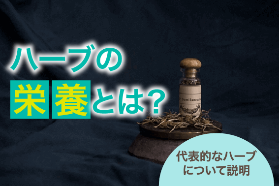 ハーブの栄養とは?代表的なハーブについて説明