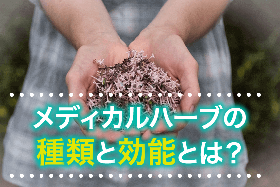 メディカルハーブの種類と効能とは?