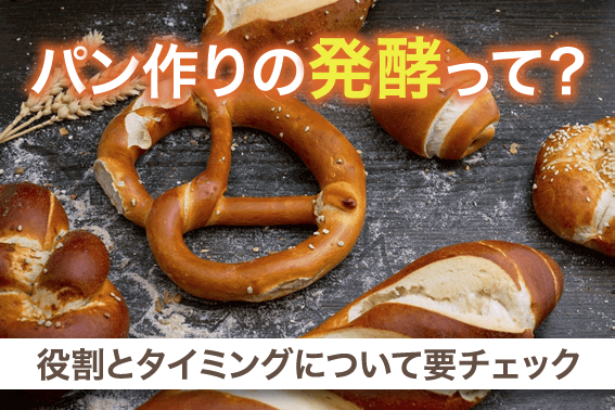 パン作りの発酵って?役割とタイミングについて要チェック