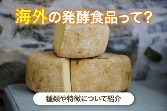 海外の発酵食品って?種類や特徴について紹介