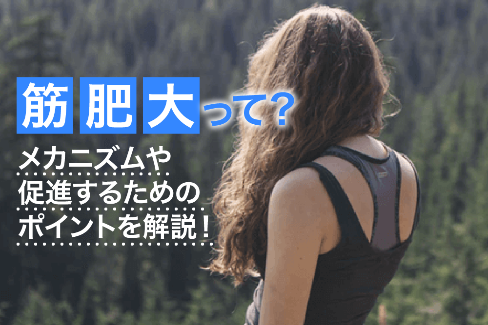筋肥大って?メカニズムや促進するためのポイントを解説!