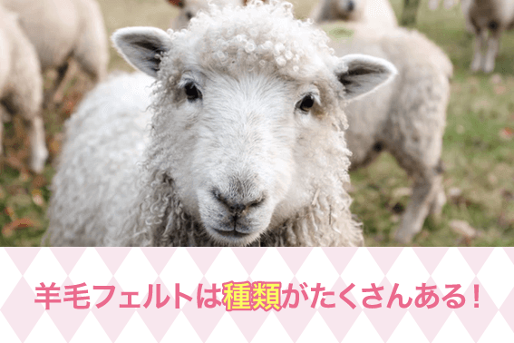 羊毛フェルトは種類がたくさんある!