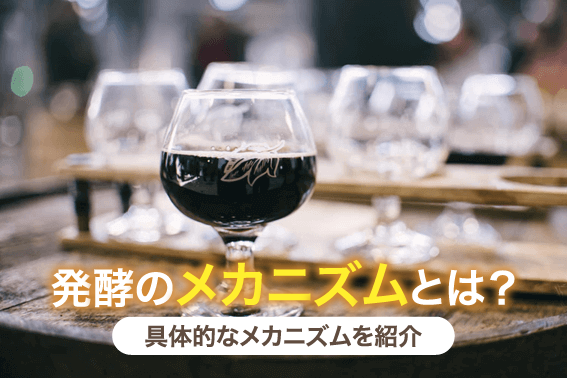 発酵のメカニズムとは?具体的なメカニズムを紹介