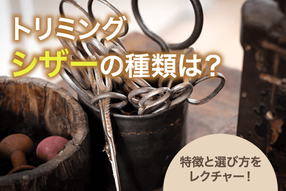 トリミングシザーの種類は?特徴と選び方をレクチャー!
