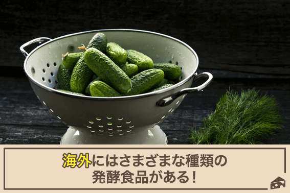 海外にはさまざまな種類の発酵食品がある!