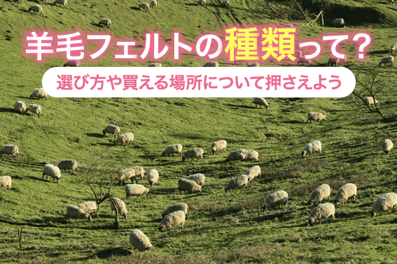 羊毛フェルトの種類って?選び方や買える場所について押さえよう