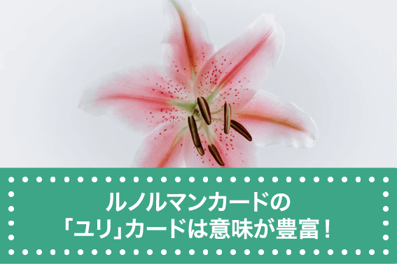 ルノルマンカードの「ユリ」カードは意味が豊富!