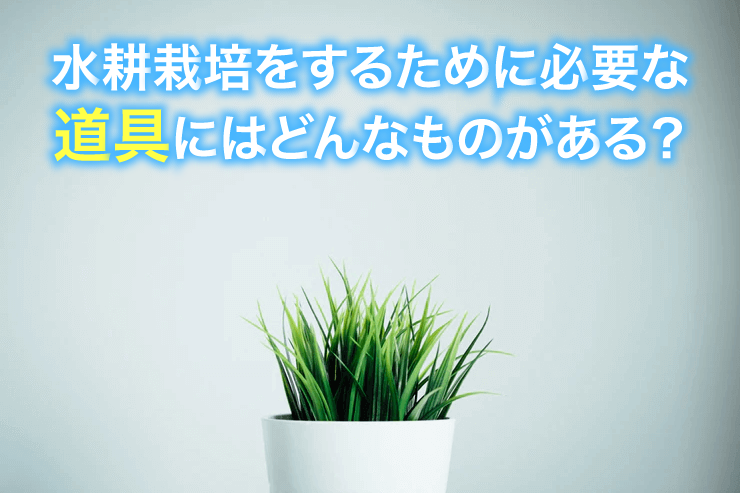 水耕栽培をするために必要な道具にはどんなものがある?