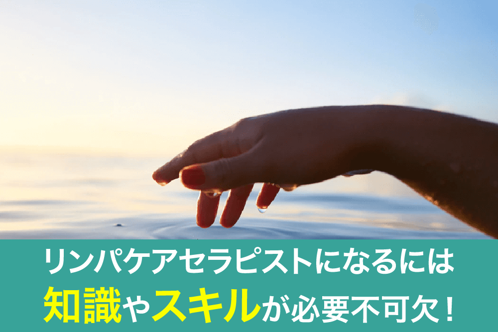 リンパケアセラピストになるには知識やスキルが必要不可欠!