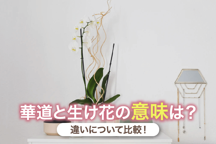 華道と生け花の意味は?違いについて比較!