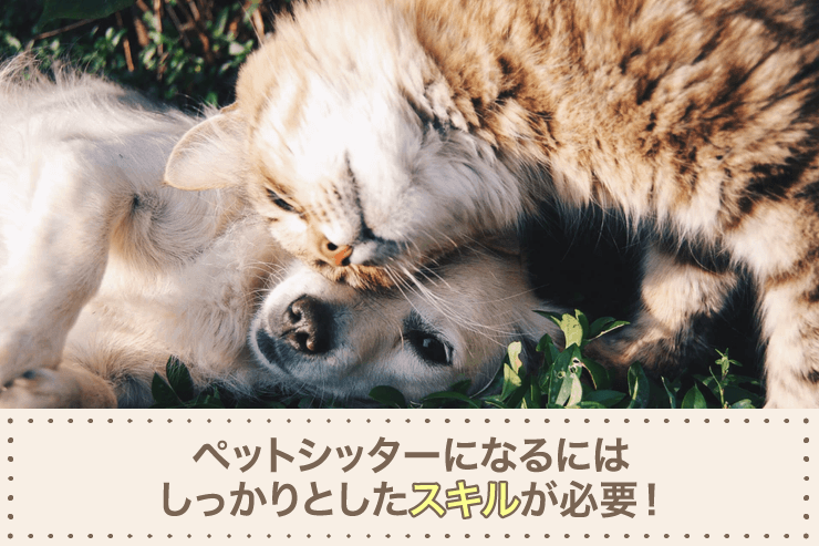 ペットシッターになるにはしっかりとしたスキルが必要!