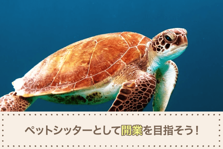 ペットシッターとして開業を目指そう!