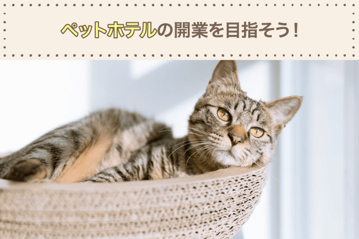 ペットホテルの開業を目指そう!