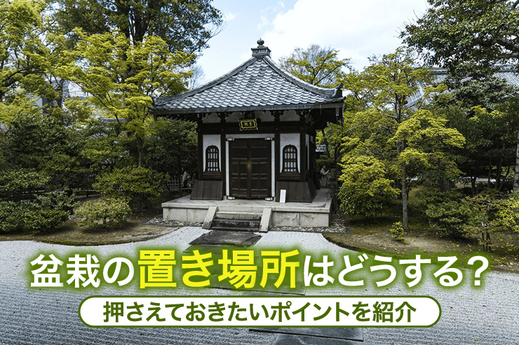 盆栽の置き場所はどうする?押さえておきたいポイントを紹介