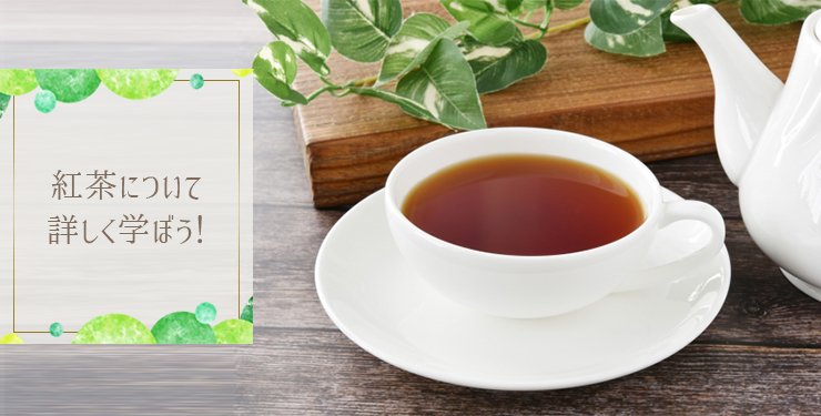 紅茶について詳しく学ぼう!