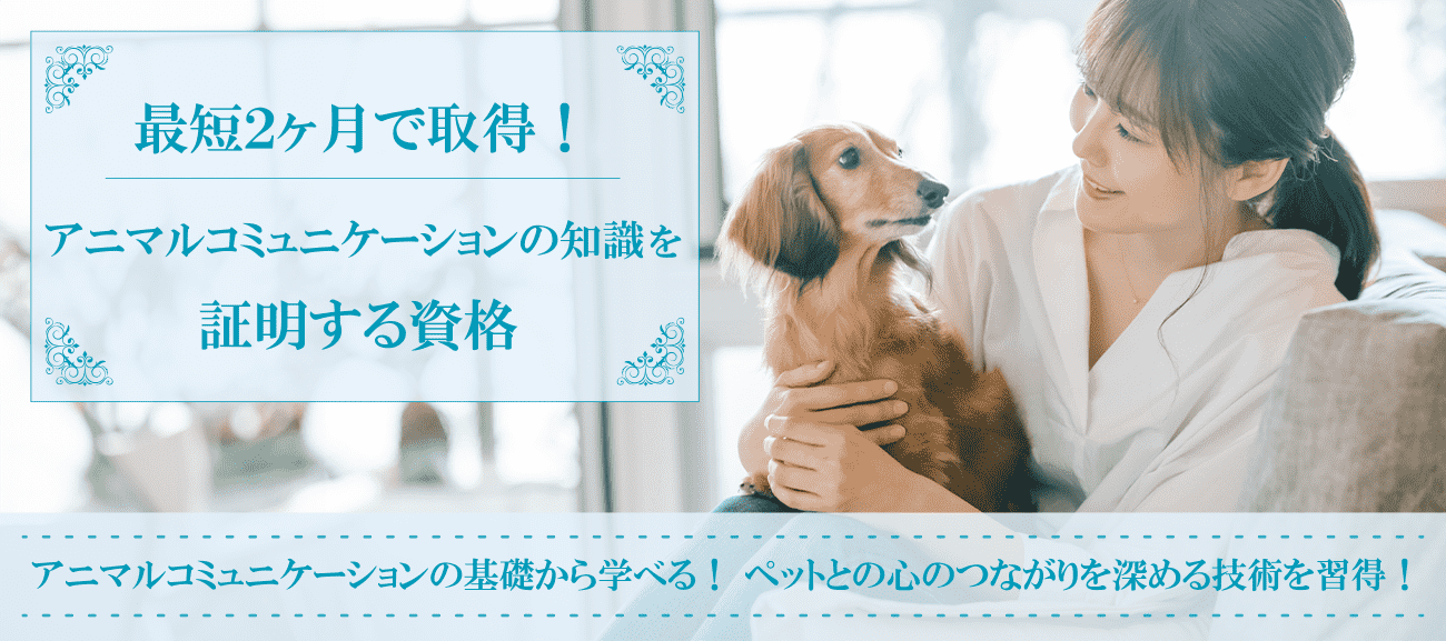 アニマルコミュニケーションの知識を証明する資格