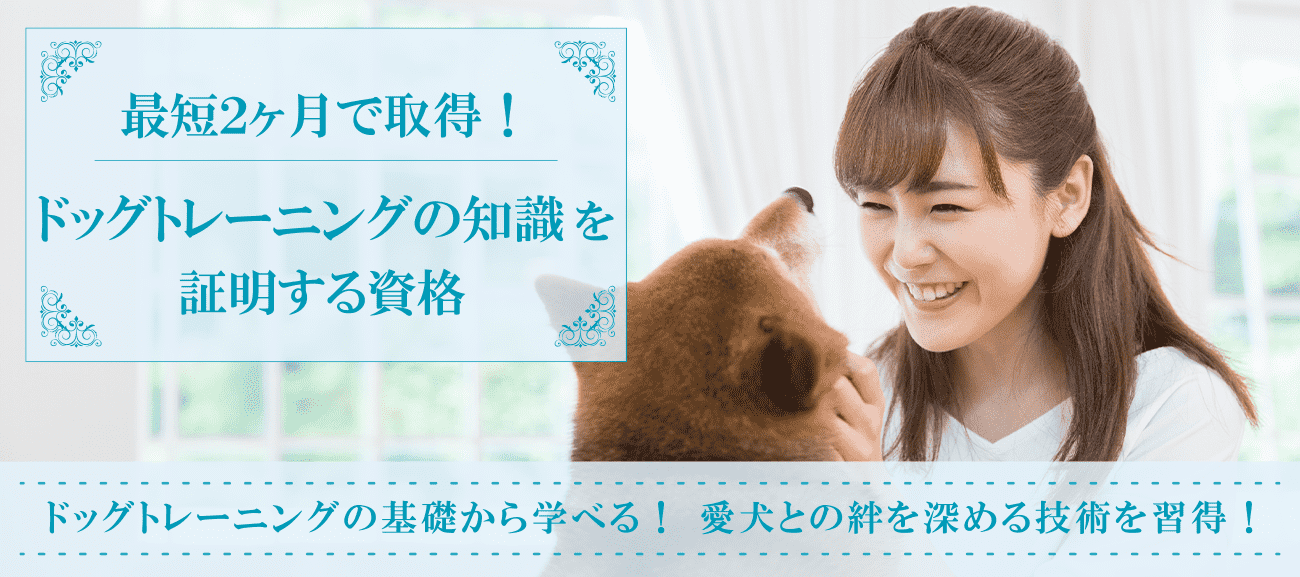 ドッグトレーニングの知識を証明する資格