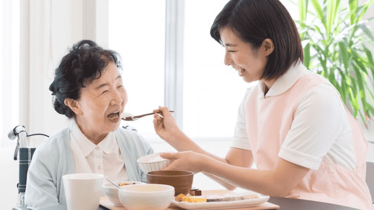 おすすめ介護食資格5選